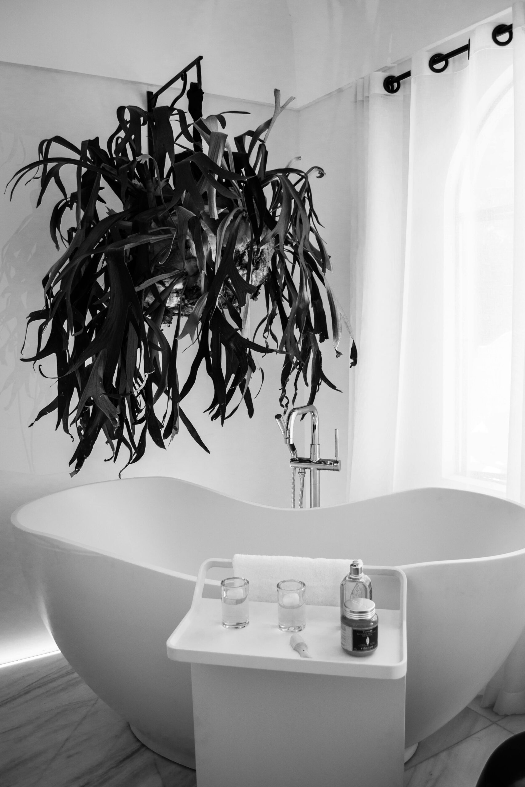 Sleek white bathtub with greenery in a contemporary, bright bathroom.